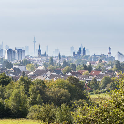 Bild vergrößern: Aussicht vom Kirdorfer Feld auf Bad Homburg und die Frankfurter Skyline